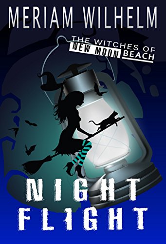 Night Flight Book Cover