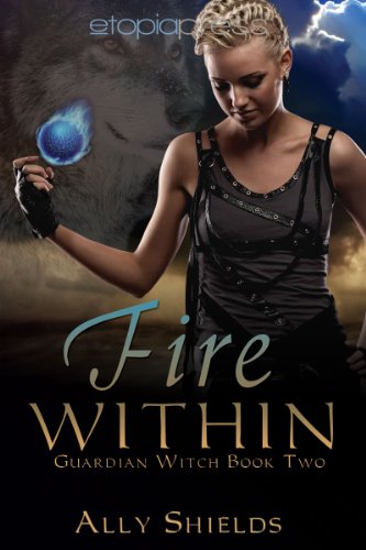 Fire Within Book Cover