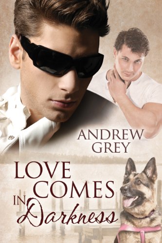 Love Comes in Darkness Book Cover