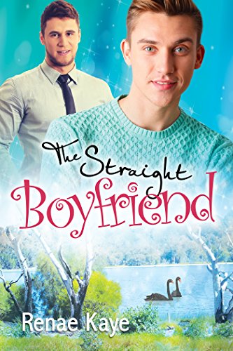 The Straight Boyfriend Book Cover