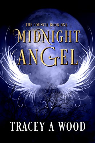 Midnight Angel Book Cover
