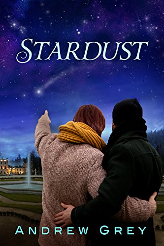 Stardust Book Cover