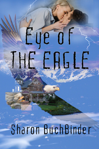 Eye of the Eagle Book Cover
