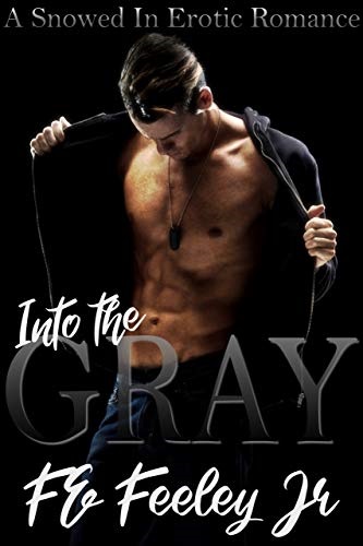 Into the Gray Book Cover