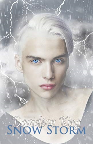 Snow Storm Book Cover
