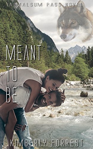 Meant To Be Book Cover