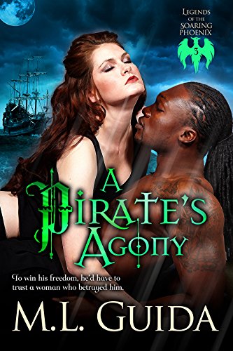 A Pirate's Agony Book Cover