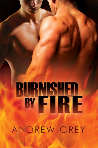 Burnished by Fire Book Cover