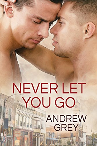 Never Let You Go Book Cover