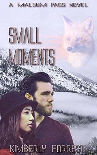 Small Moments Book Cover