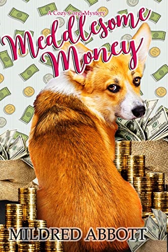 Meddlesome Money Book Cover