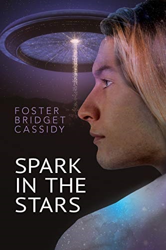 Spark in the Stars Book Cover