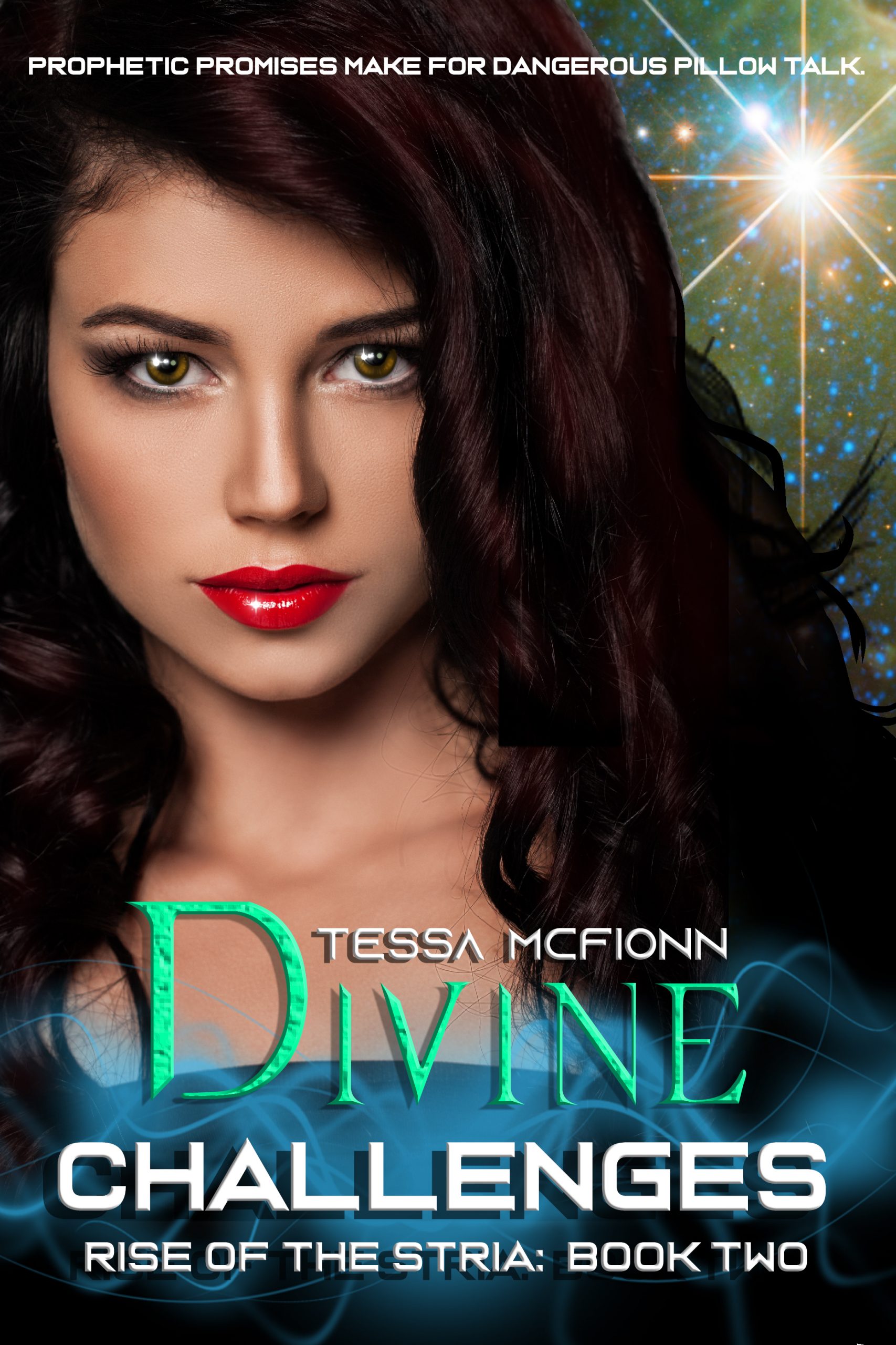 Divine Challenge Book Cover