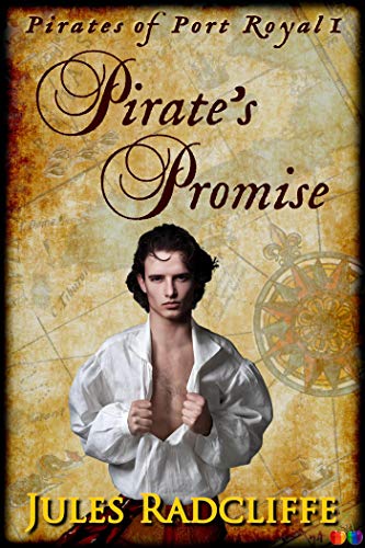 Pirate's Promise Book Cover