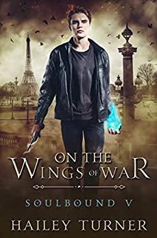 On the Wings of War Book Cover
