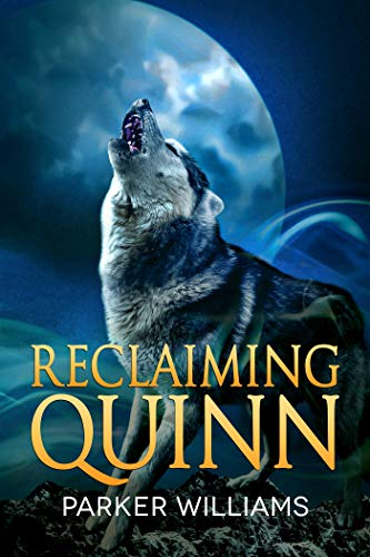 Reclaiming Quinn Book Cover