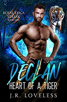 Declan - Heart of a Tiger Book Cover