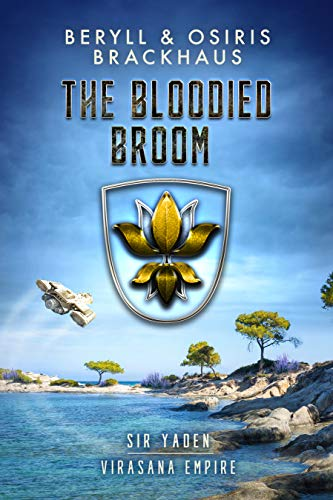 The Bloodied Broom Book Cover